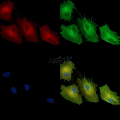 Валидация Affinity DF14037 - 9807