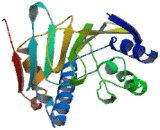 Heat Shock Protein 90kDa Alpha B1 (HSP90aB1) Heat Shock Protein 90kDa Alpha B1 (HSP90aB1)