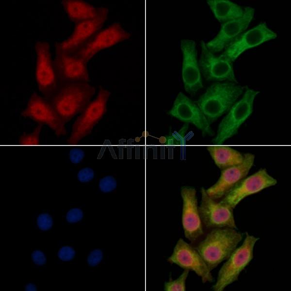 Валидация Affinity AF6001 - 3183