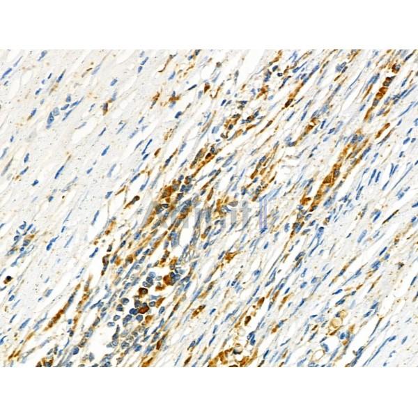 Валидация Affinity DF4867 - 16647