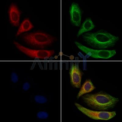 Валидация Affinity DF6370 - 17722