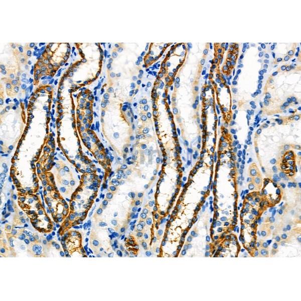 Валидация Affinity DF7473 - 19234