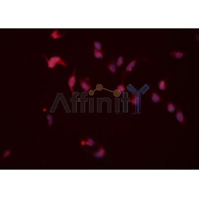 Валидация Affinity AF7761 - 4467