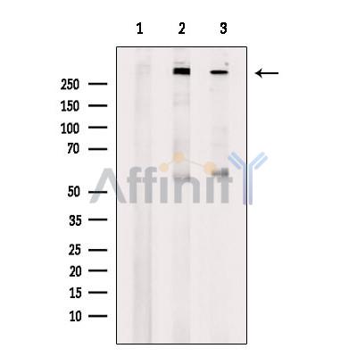Валидация Affinity DF9639 - 22371