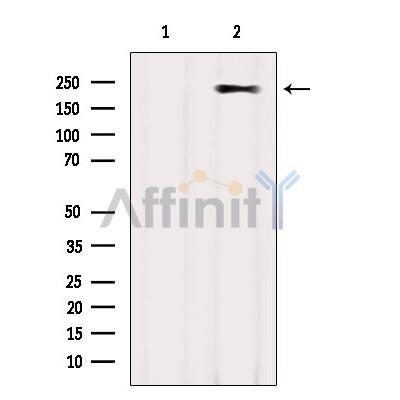 Валидация Affinity DF8414 - 20286