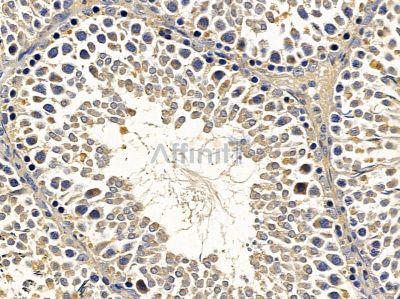 Валидация Affinity DF9546 - 22202