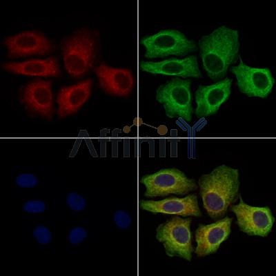 Валидация Affinity DF13591 - 9074