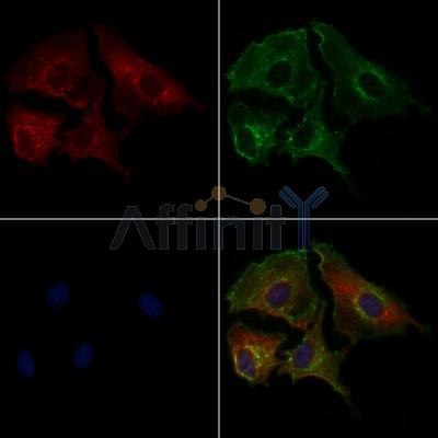 Валидация Affinity AF6272 - 3525