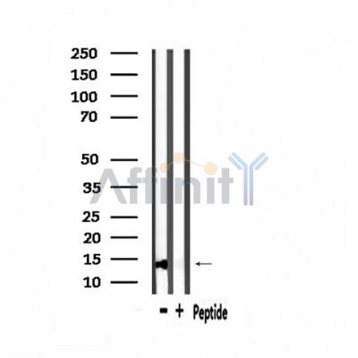 Валидация Affinity AF9048 - 4791