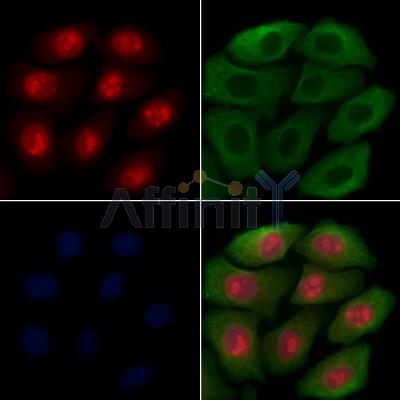 Валидация Affinity DF13442 - 8771