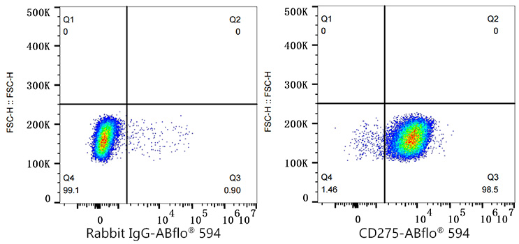 A24718, проточная цитометрия, клетки Daudi (20181)
