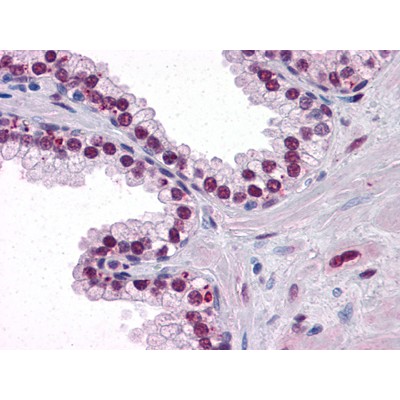 Валидация Affinity BF0349 - 5236