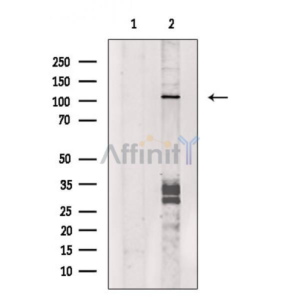 Валидация Affinity DF3209 - 14027