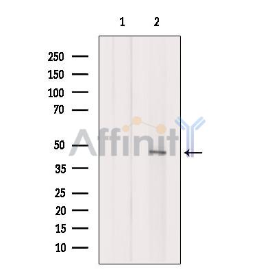 Валидация Affinity DF7730 - 19522