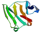Carcinoembryonic Antigen Related Cell Adhesion Molecule 21 (CEACAM21) Carcinoembryonic Antigen Related Cell Adhesion Molecule 21 (CEACAM21)