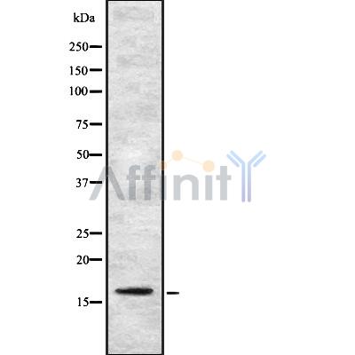 Валидация Affinity DF8193 - 20031