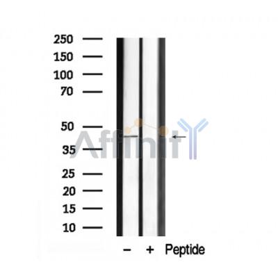 Валидация Affinity AF7916 - 4662