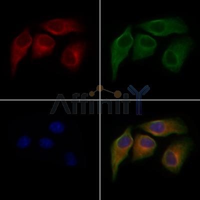 Валидация Affinity DF6967 - 18588