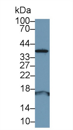 13139