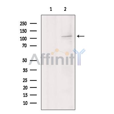 Валидация Affinity DF4983 - 16831