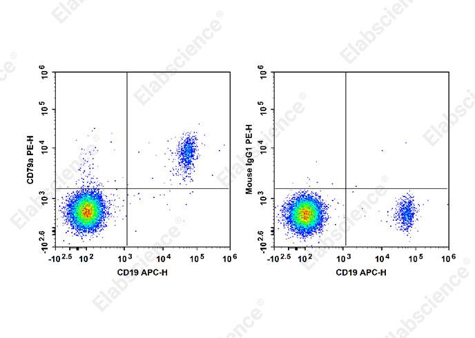 Валидация Elabscience E-AB-F1370D