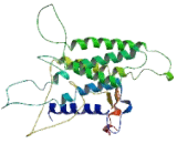 G Protein Coupled Receptor 143 (GPR143) G Protein Coupled Receptor 143 (GPR143)