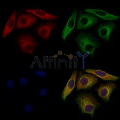 Валидация Affinity DF13575 - 9041