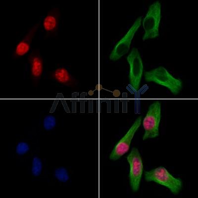 Валидация Affinity DF13539 - 8966