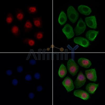 Валидация Affinity AF7639 - 4314