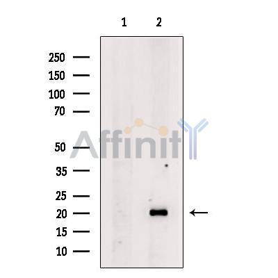 Валидация Affinity DF9976 - 23015