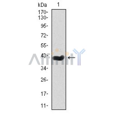 Валидация Affinity DF4653 - 16306