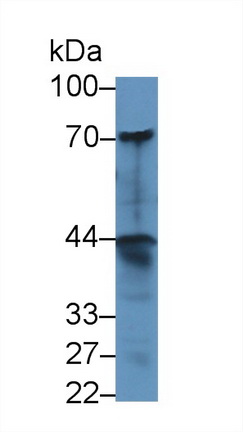 8859