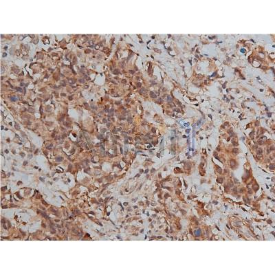 Валидация Affinity AF7008 - 4144