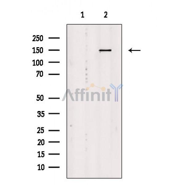 Валидация Affinity AF9233 - 5077