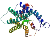 Chemokine C-X3-C-Motif Receptor 1 (CX3CR1) Chemokine C-X3-C-Motif Receptor 1 (CX3CR1)
