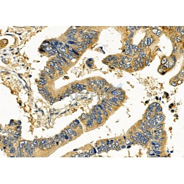 Валидация Affinity DF4982 - 16830