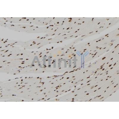 Валидация Affinity DF7325 - 19019