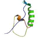 Pyrimidinergic Receptor P2Y, G Protein Coupled 4 (P2RY4) Pyrimidinergic Receptor P2Y, G Protein Coupled 4 (P2RY4)