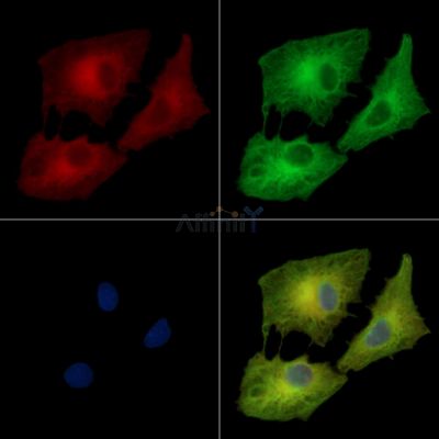 Валидация Affinity DF14352 - 10259