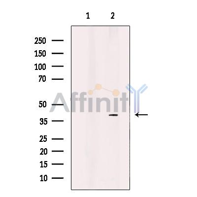 Валидация Affinity DF12077 - 6157