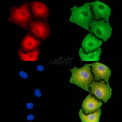 Валидация Affinity DF13837 - 9533