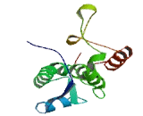 Folate Receptor 1, Adult (FOLR1) Folate Receptor 1, Adult (FOLR1)