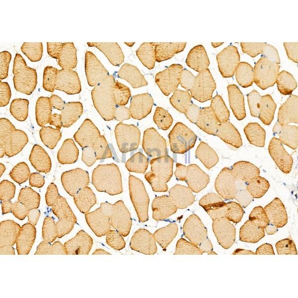 Валидация Affinity DF6291 - 17604