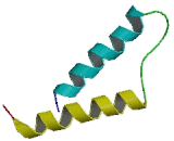 Purinergic Receptor P2Y, G Protein Coupled 12 (P2RY12) Purinergic Receptor P2Y, G Protein Coupled 12 (P2RY12)
