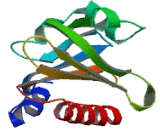 Profilin 3 (PFN3) Profilin 3 (PFN3)