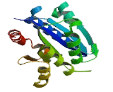 Integrin Alpha E (ITGaE) Integrin Alpha E (ITGaE)