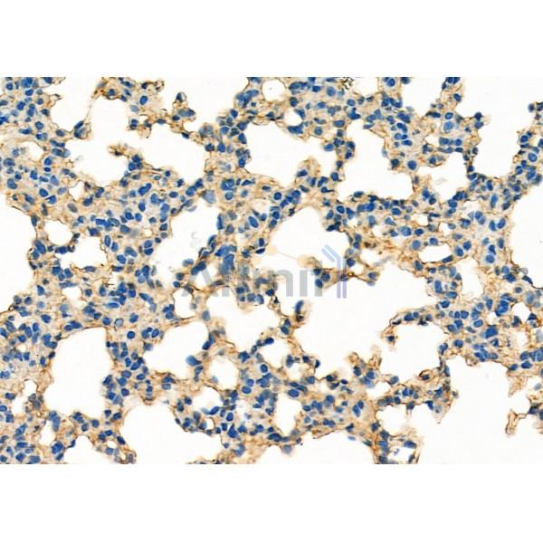 Валидация Affinity DF9656 - 22405