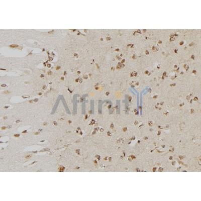 Валидация Affinity DF6284 - 17592