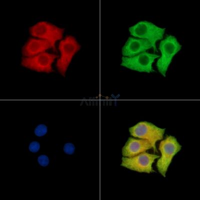 Валидация Affinity DF15228 - 11501