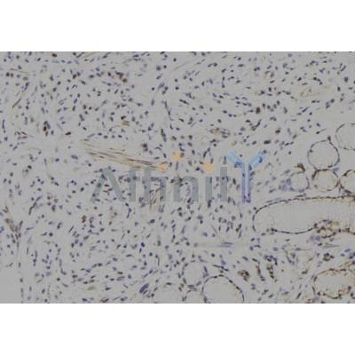 Валидация Affinity DF7569 - 19328